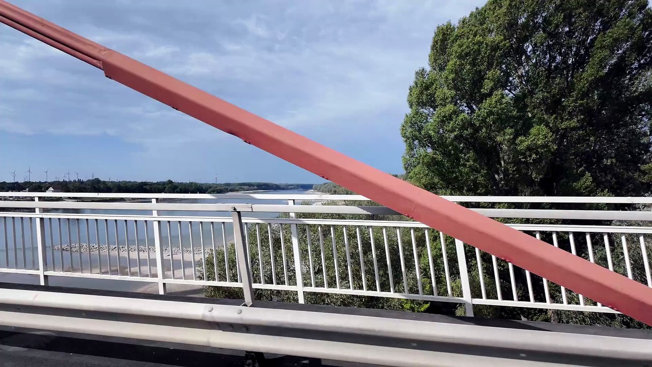 Dürre an der Donau  Frachter stehen still, die Auen trocknen aus