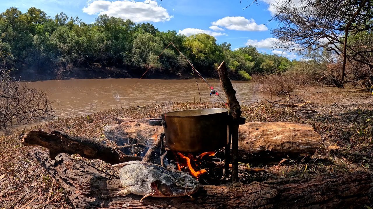 pescando en el rio y cocinando bagres fritos, mucha pesca y naturaleza, pesca de barrio