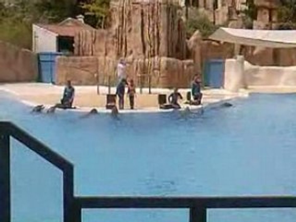 parc asterix daufin