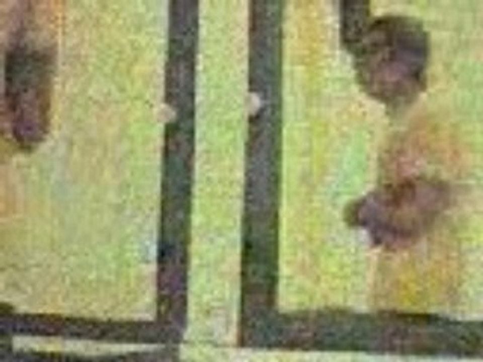 Killerpilze - Jo & Mäx