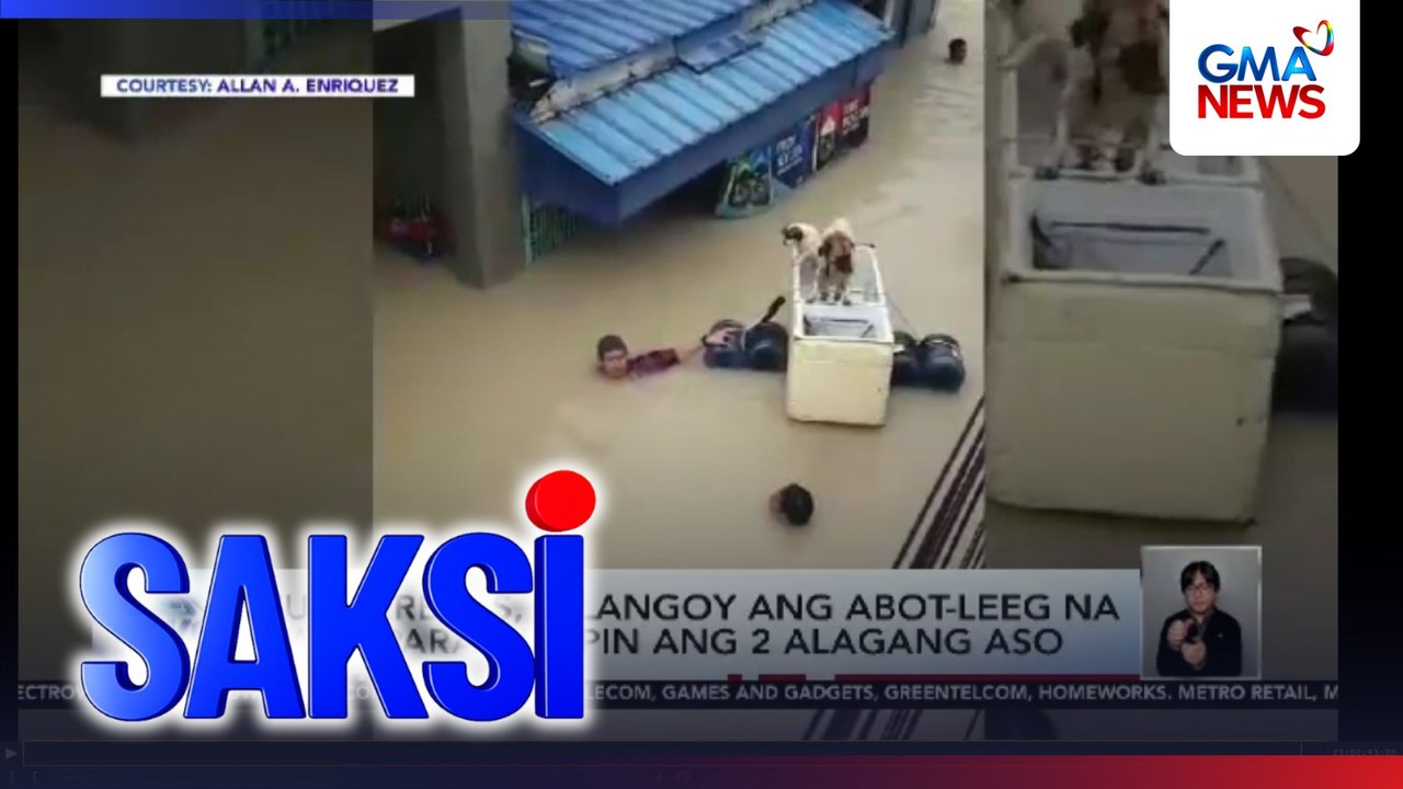 Fur parents, nilangoy ang abot-leeg na baha para sagipin ang 2 alagang aso | Saksi