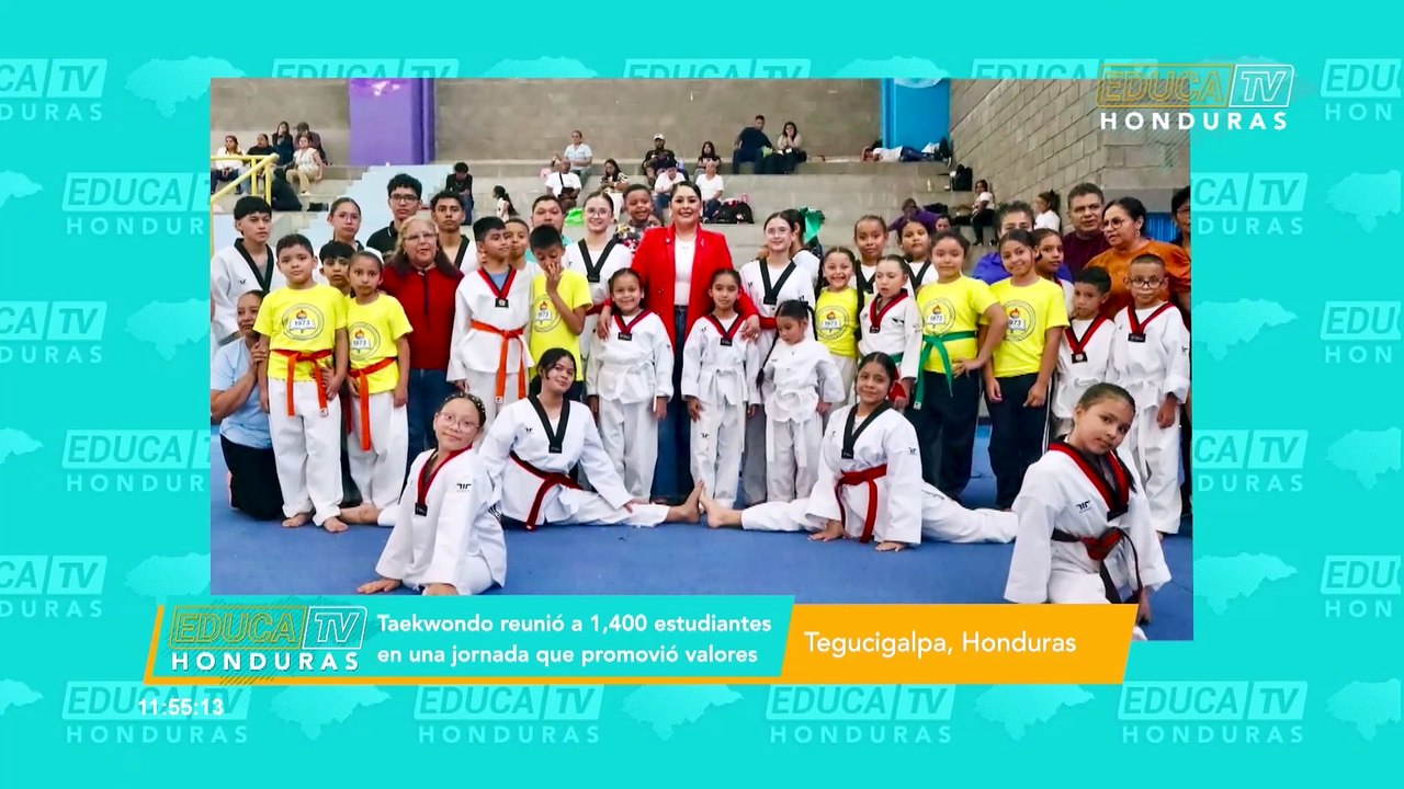 Taekwondo
