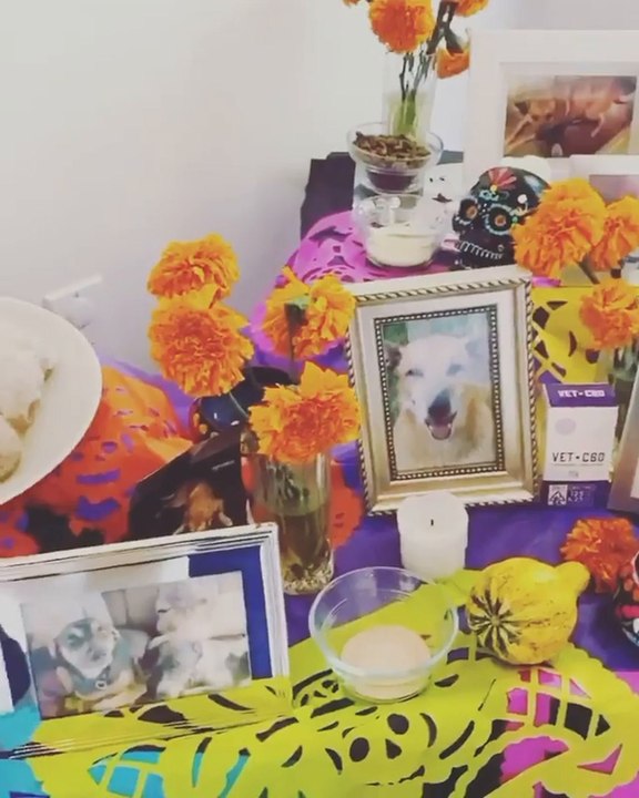 Salma Hayek Day Of the Dead ofrenda altar pets