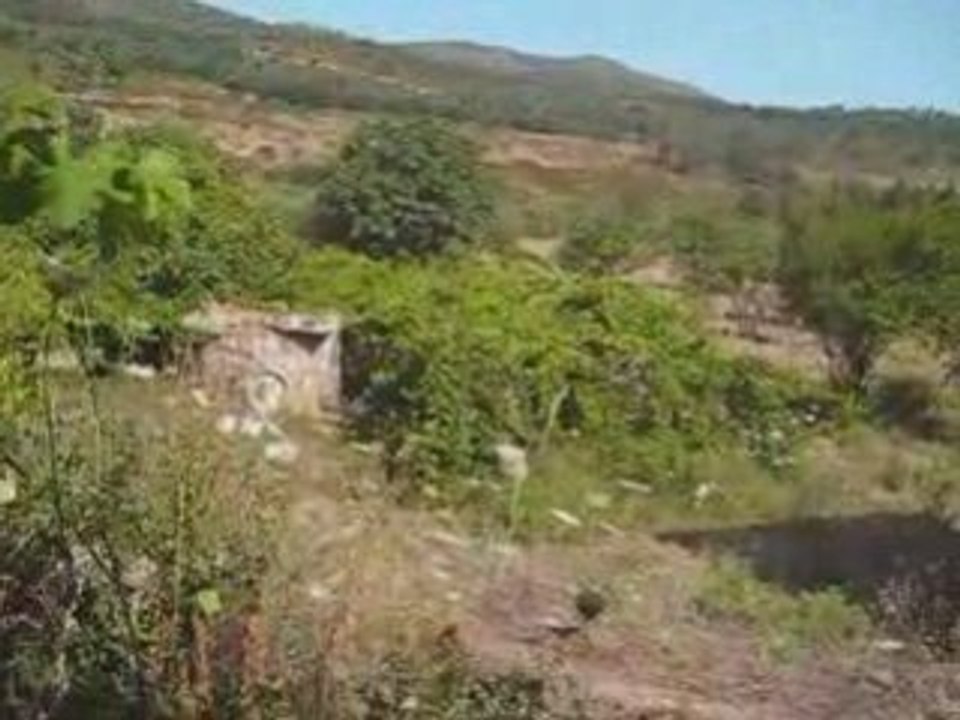 Talsa