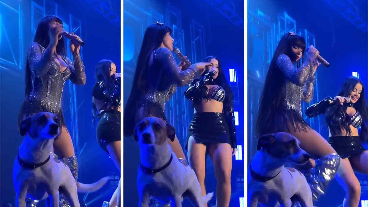 Nayara Yumi en Juliana Bonde delen het podium met een hondje tijdens een optreden