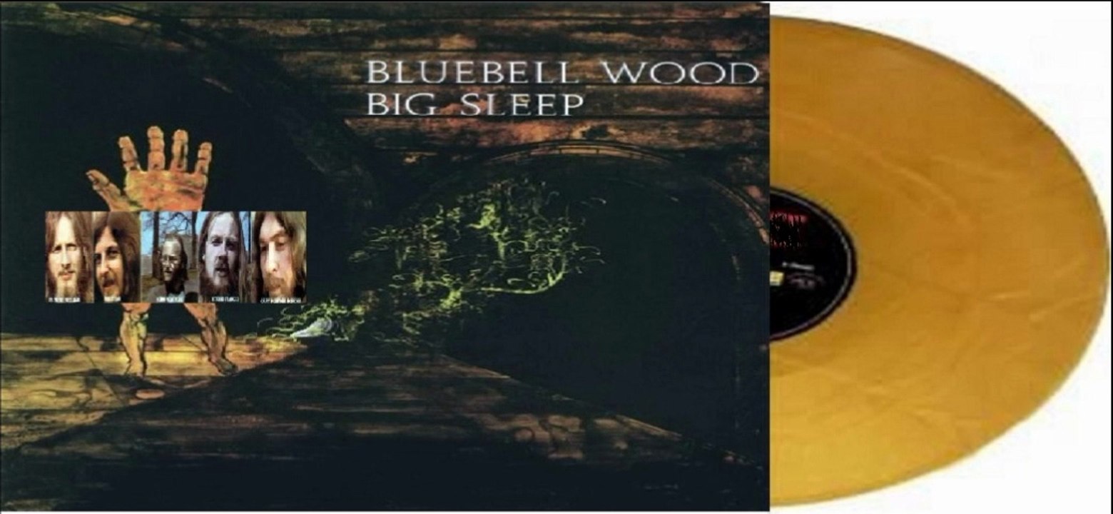 Big Sleep — Bluebell Wood 1971 (UK, Progressive...