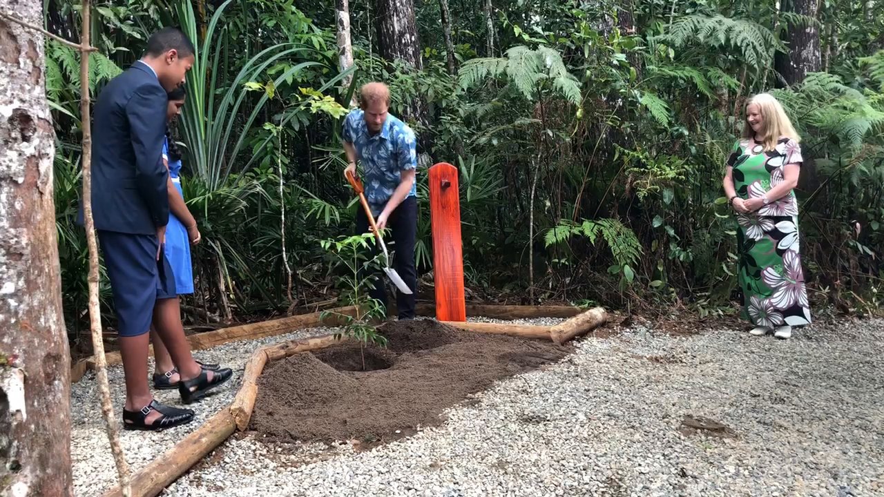 Prince Harry fiji