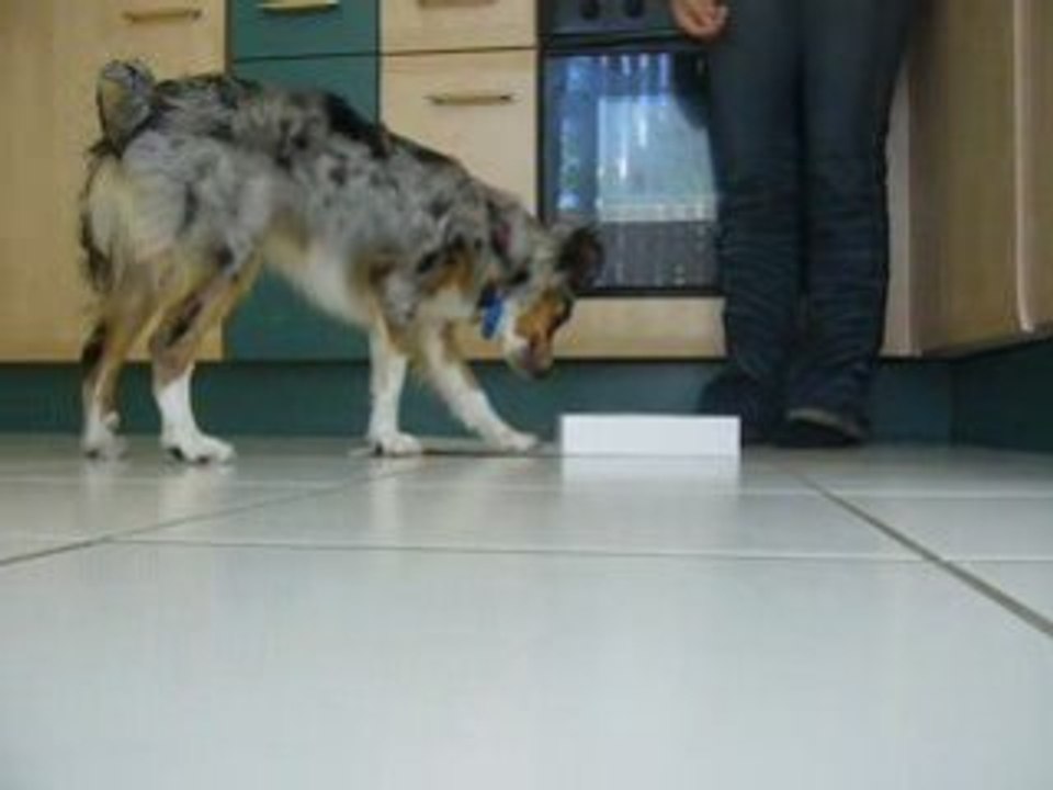 Cookaï clicker