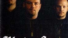 Pluton Svea - Den Nya Ordningen