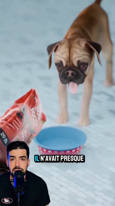 Il avait plus de quoi manger