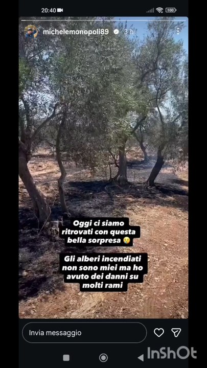 Michele monopoli story incendio nell' oliveto