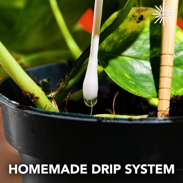 Upcycling ideas worth knowing! 🔄🌱