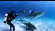 This Wild Animal Did Something Absolutely Incredible! 🥹❤️