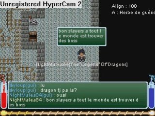 Slayers Online Partie 1 la suite