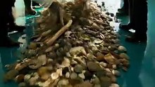 🤯 Rocks, shells, and sticks all covered in this crazy epoxy floor design concept #interiordesign #homedesign