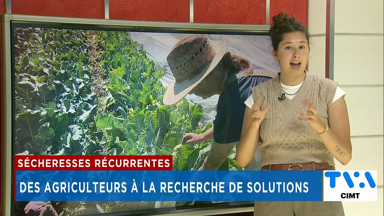 TVA Nouvelles CIMT 18h 10 août 2026