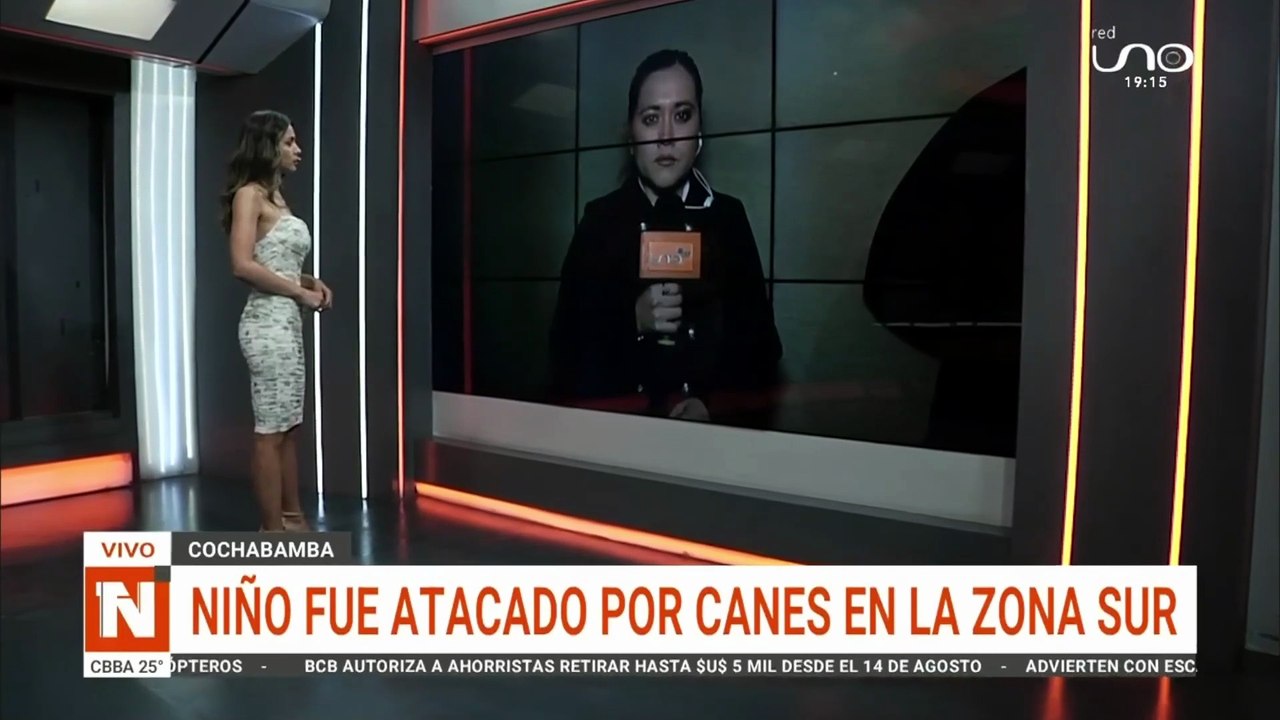 CANES MORDIERON A NIÑO CBBA
