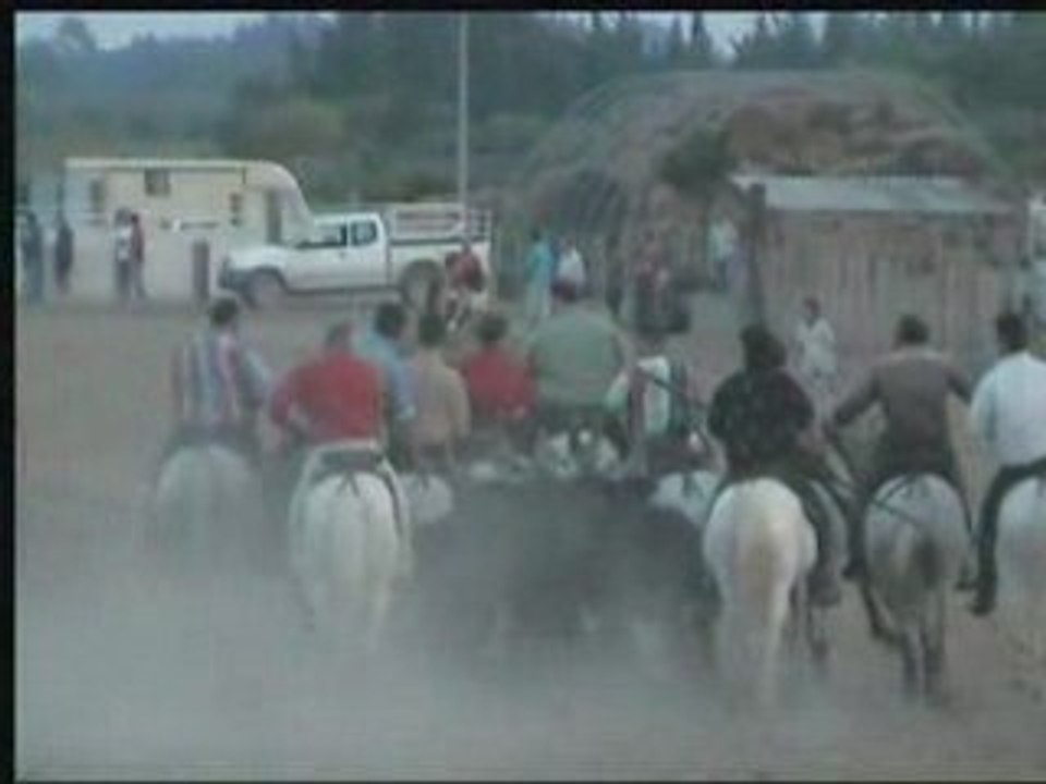 Festival simbeou