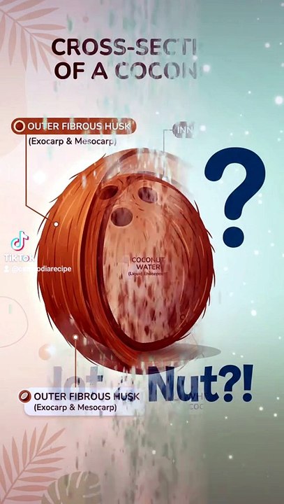 The Shocking Truth About Coconuts