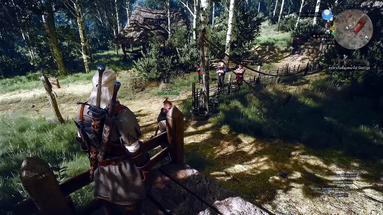THE WITCHER 3 GAMEPLAY PART 74