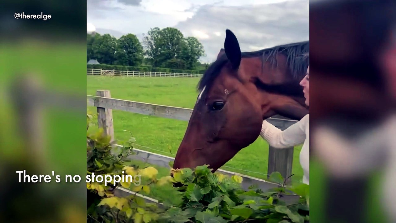 Geri Horner's cheeky racehorse finds a snack