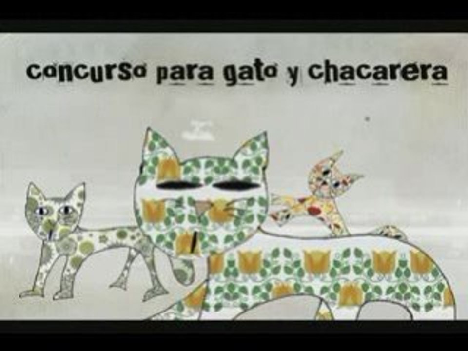 Tema de gatos