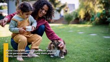 A closer look at 12 cat breeds perfect for emotional support