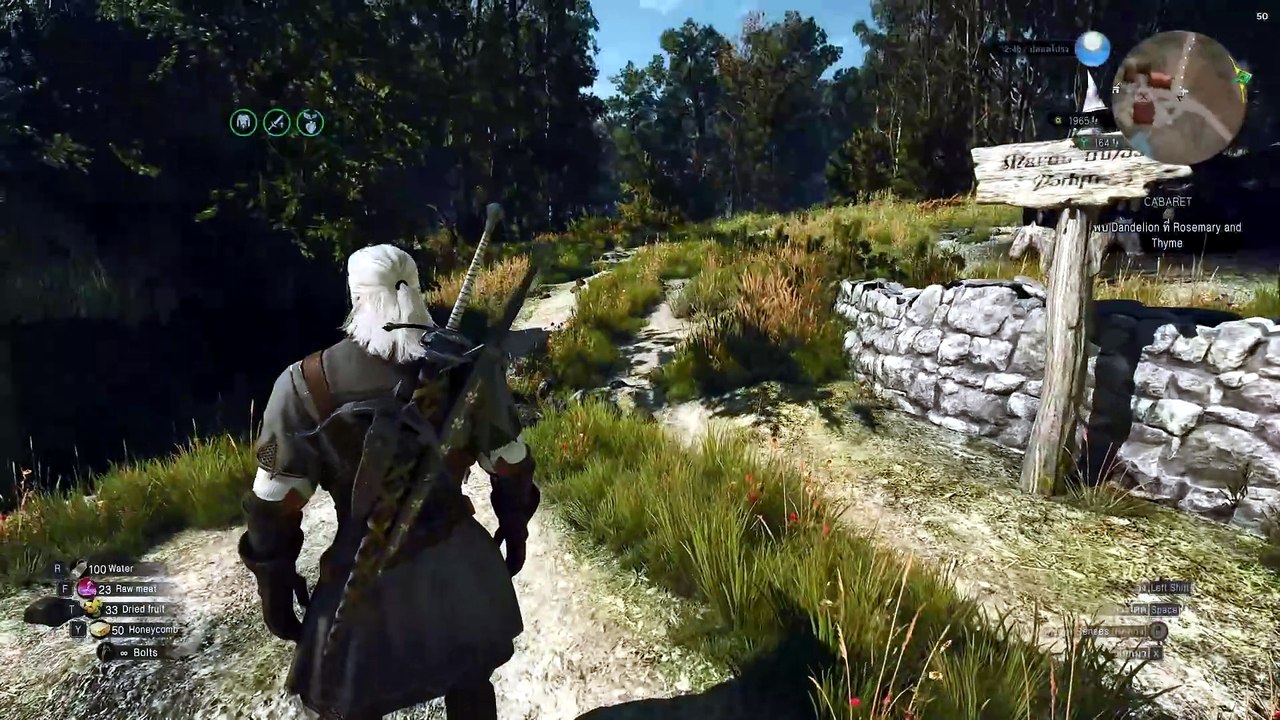 THE WITCHER 3 GAMEPLAY PART 75