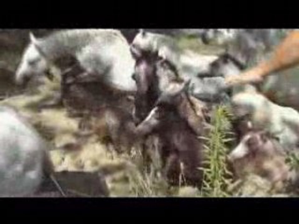 Marsillargues - Engasado et Abrivado 14 juillet 2008