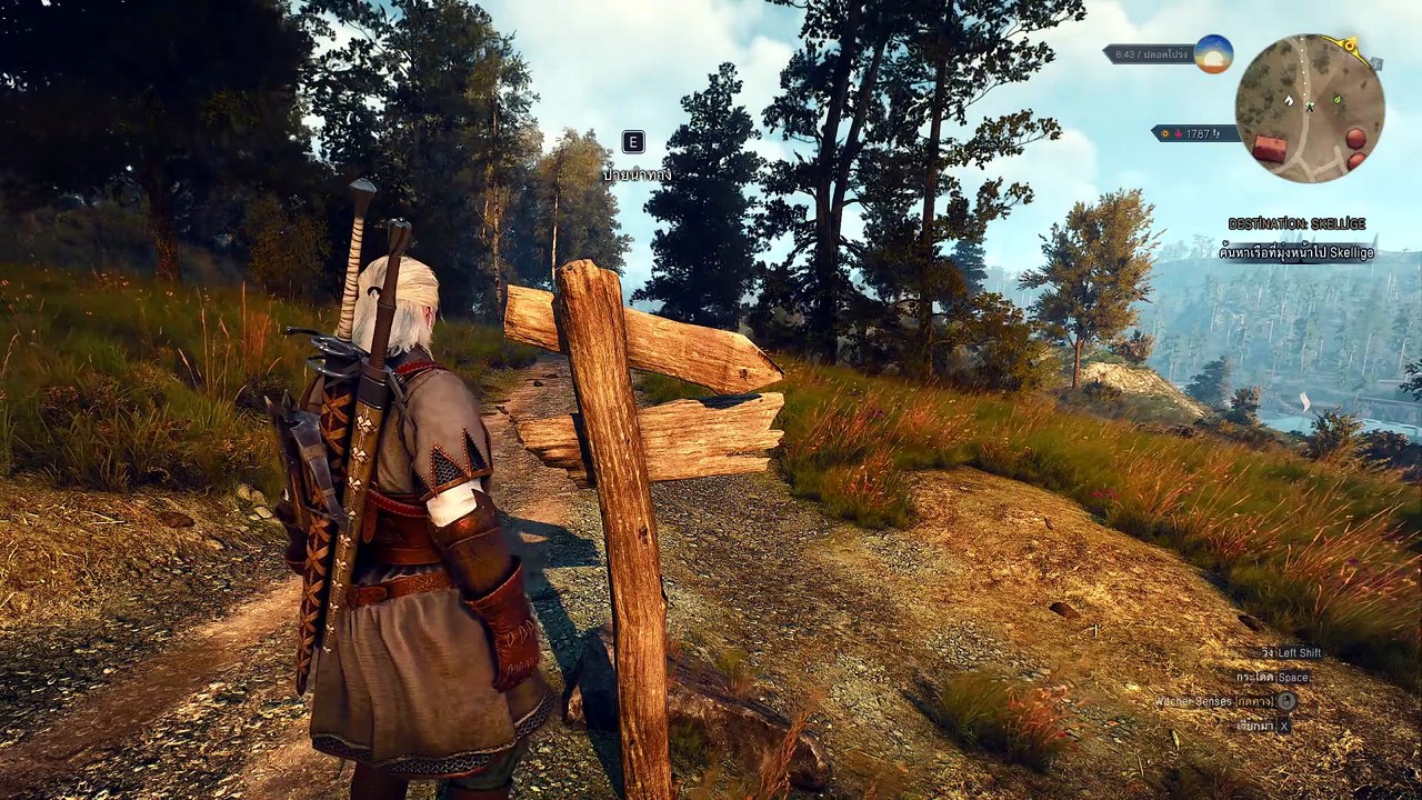 THE WITCHER 3 GAMEPLAY PART 76
