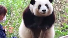Huahua's Dance Universe｜花花的舞蹈宇宙（8）
