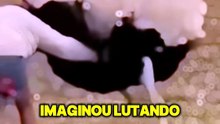 Foi por muito pouco #naturaza #homem #animal #sobrevivencia