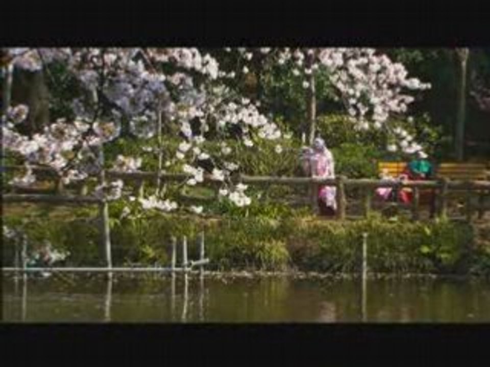 CHERRY BLOSSOMS-HANAMI : bande annonce du film