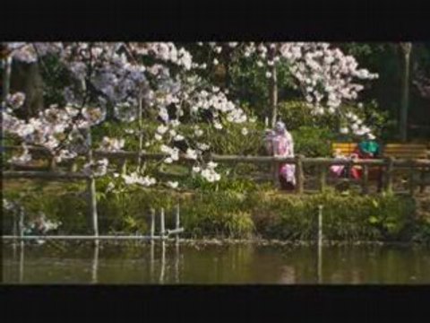 CHERRY BLOSSOMS-HANAMI : bande annonce du film