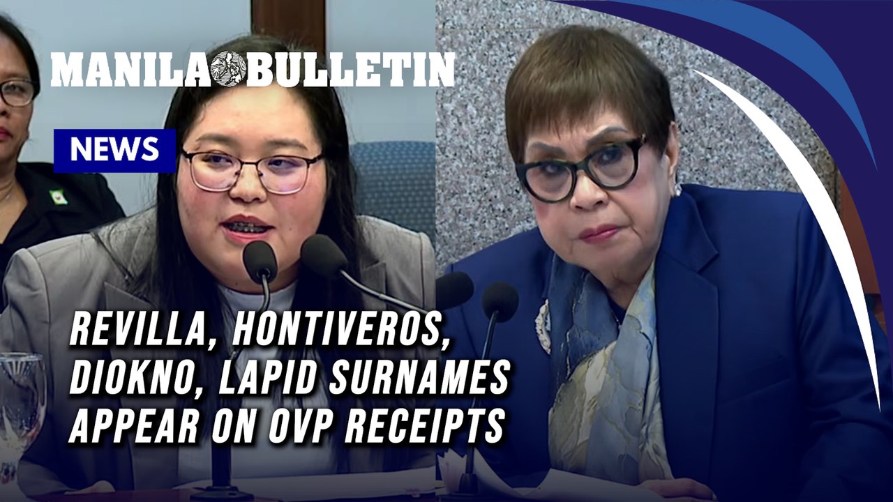 Revilla, Hontiveros, Diokno, Lapid surnames appear on OVP receipts
