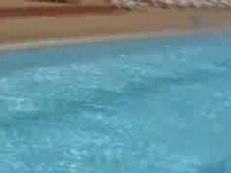 Le Club Ados - Pub Piscine