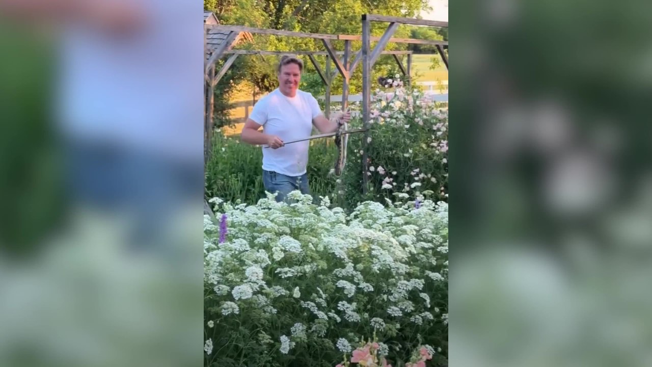 Joanna Gaines encounters heart-stopping intruder in sprawling garden