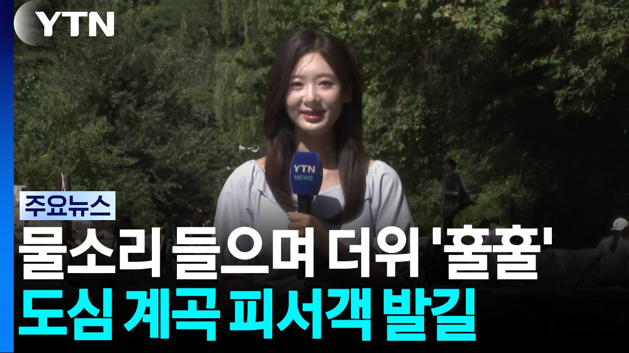 물소리 들으며 더위 '훌훌'...도심 계곡 피서객 발길 / YTN