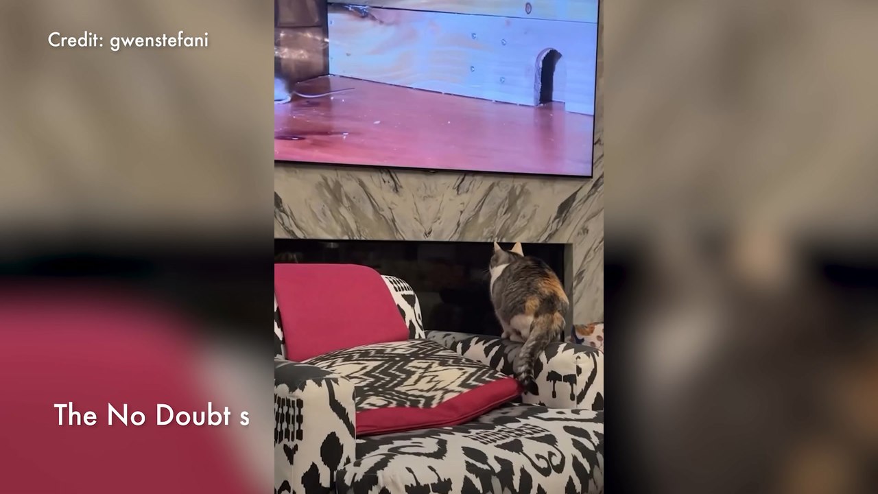 Gwen Stefani Showcases Mind-bending Lounge