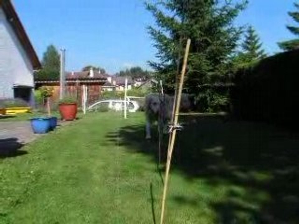 Coraslalom
