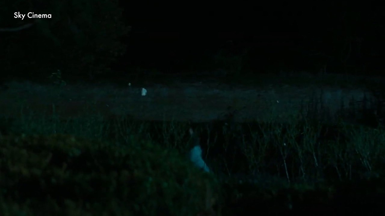 The trailer for Flavia