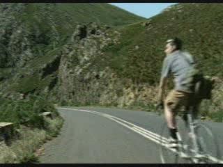 Beers can save lives