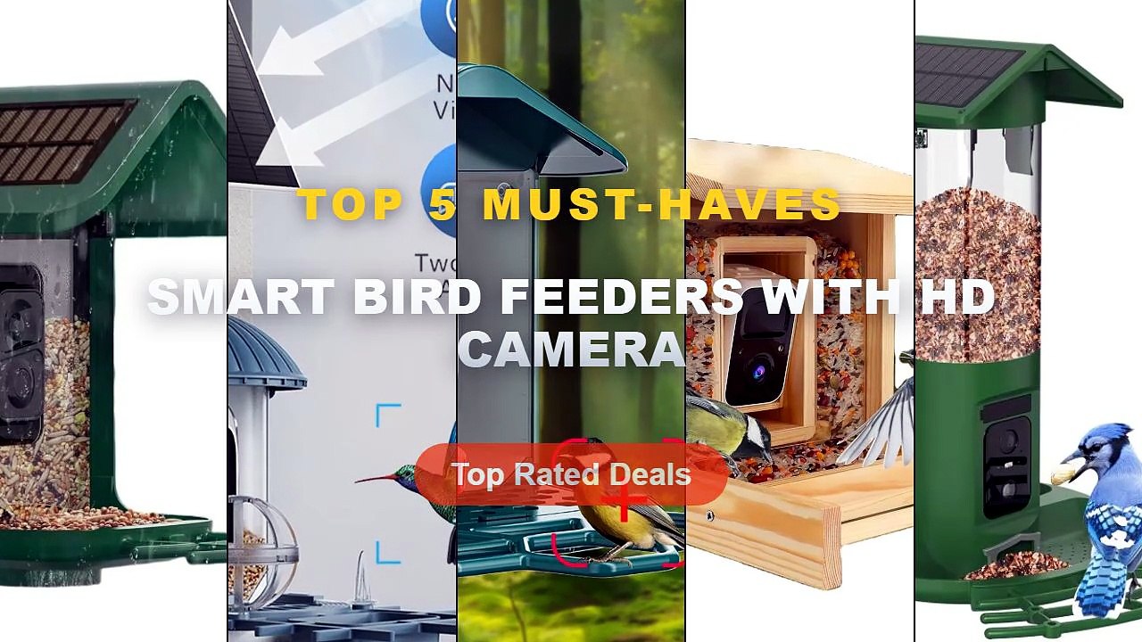 Don't Buy Smart Bird Feeders With HD Camera Before Watching This! - Smart Dual Camera Bird Feeder 2K HD Solar Powered 3L...