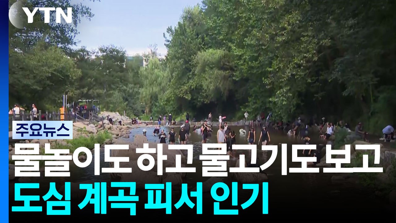 물놀이도 하고 물고기도 보고...도심 계곡 피서 인기 / YTN