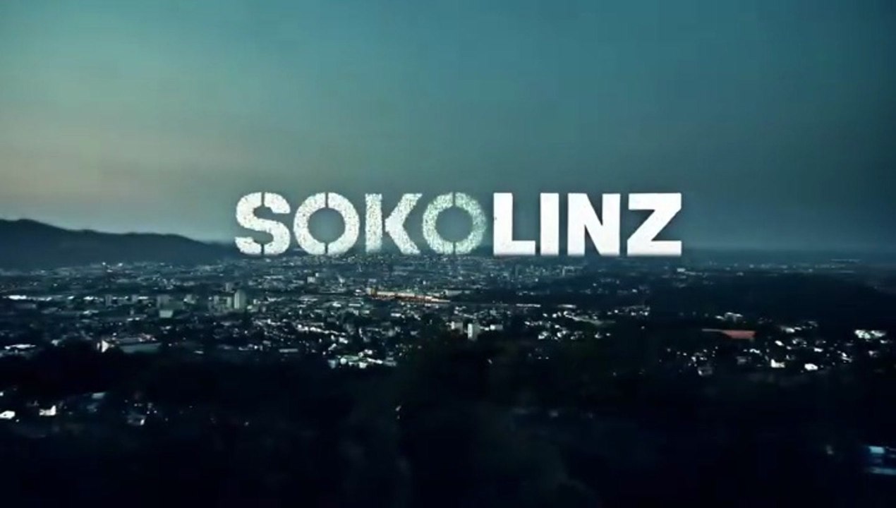 SOKO Linz -09- Battle of Bytes