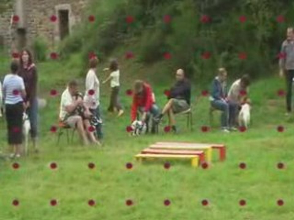 Le puy en velay 3eme partie agility (2)