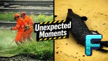 Unexepected Moments Cought On Camera! | MomentFlare Collection