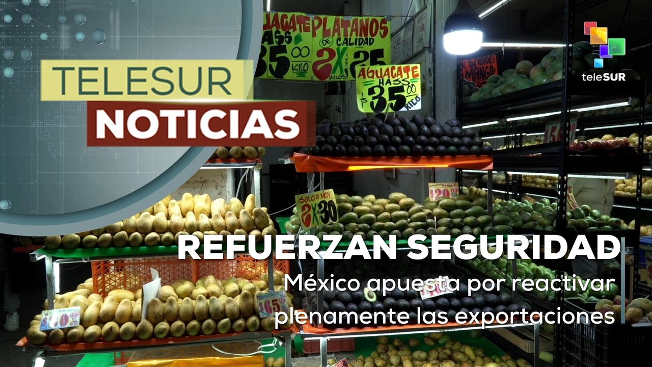 México refuerza la seguridad para reactivar las exportaciones de aguacate a EE. UU.