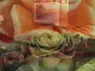 Radisson Plaza Minneapolis Video Tour