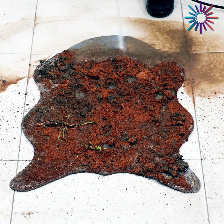 Really dirty rug satisfying cleaning! 💧